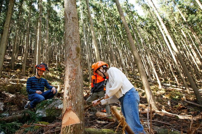 Discover Foresters Life Tour (1-Day) - Tour Schedule and Duration