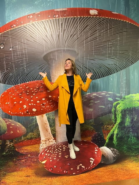 Discover Germany's most exciting photo illusion world! - Key points / Takeaways