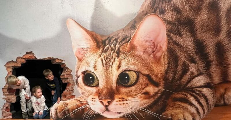 Discover Germany's most exciting photo illusion world! - FAQ