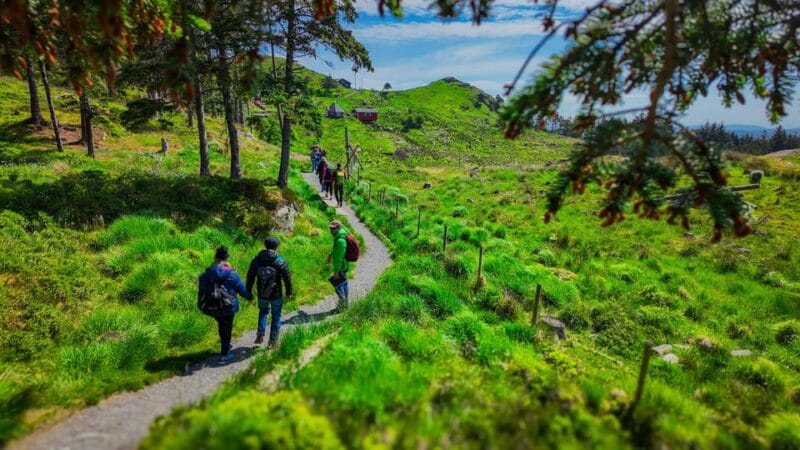 Discover Haugesund and visit a local mountain farmer - Key Points / Takeaways