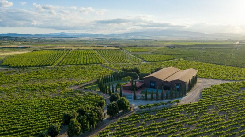 Discover La Rioja: Guided Winery Tour & Wine Tasting - Setting the Scene: What This Tour Is All About