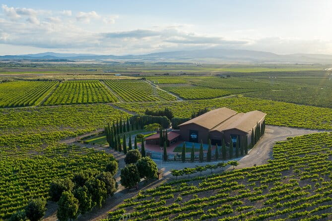 Discover La Rioja: Guided Winery Tour & Wine Tasting - Key Points & Takeaways