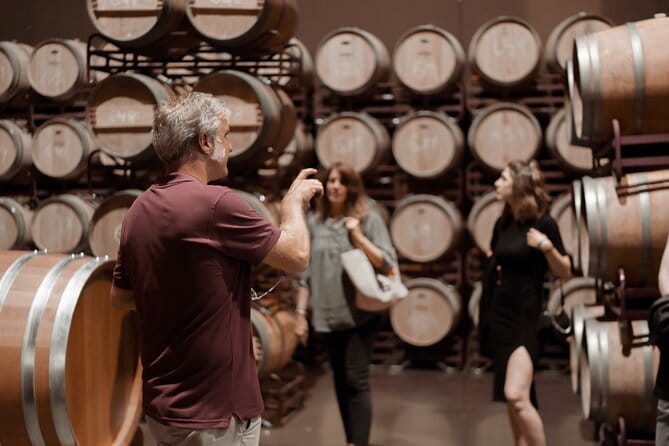 Discover La Rioja: Guided Winery Tour & Wine Tasting - Final Thoughts: Is This Tour Right for You?
