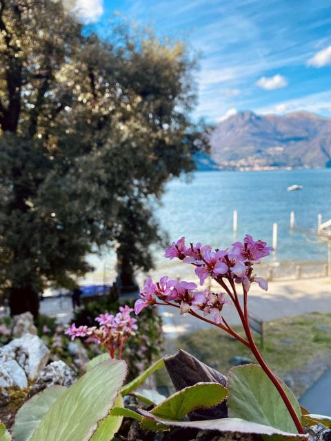 Discover Lake Como & Bellagio with a local - Bellagio: The Pearl of Lake Como