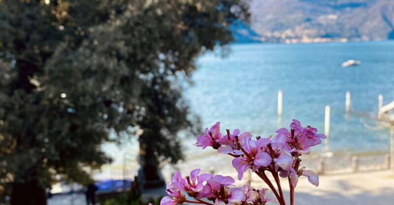 Discover Lake Como & Bellagio with a local - Who Should Consider This Tour?