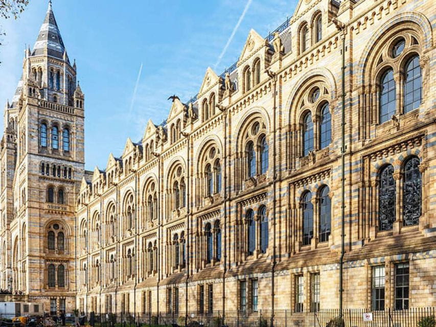 Discover Londons Natural Wonders: Museum Expedition - Engaging Discussions on Climate and Biodiversity