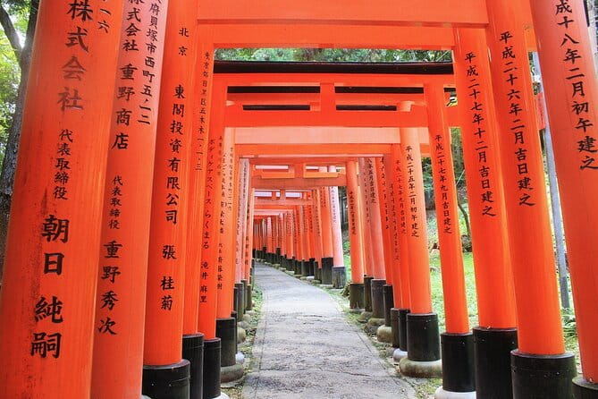 Discover Nara Park, Kyoto Highlights and Fushimi Inari From Osaka - Important Tour Details and Considerations