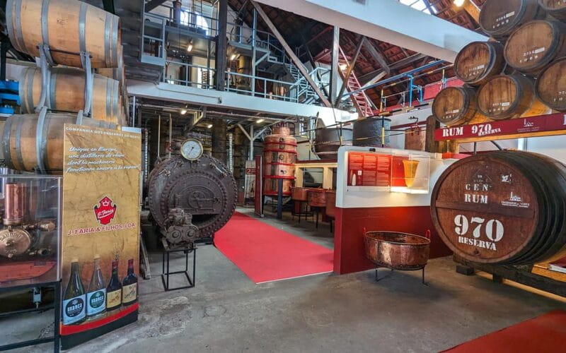 Discover Ponta de São Lourenço: Private Classic Jeep in 4h - Price and Logistics