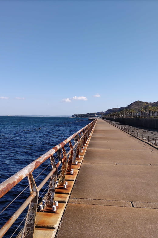 Discover Priceless Yokosuka in Special One-Day Walking Tour - Tour Inclusions