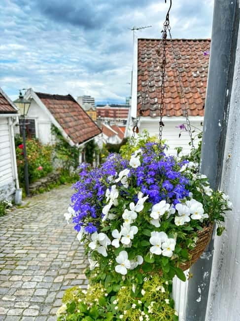 Discover Private+ Stavanger Guided City Tour - Exploring Stavanger with a Personal Touch