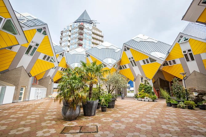 Discover Rotterdams most Photogenic Spots with a Local - Discover Rotterdam’s Most Photogenic Sights with a Local Guide