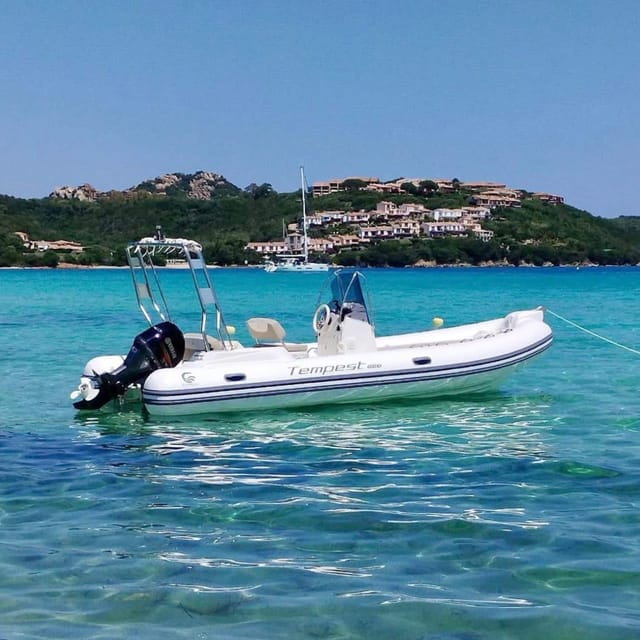 Discover Sardinia: Dolphin Watching and Capo Figari Tour - Key Points / Takeaways