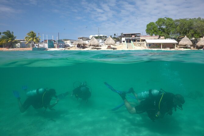 Discover Scuba Diving - Overview of the Experience
