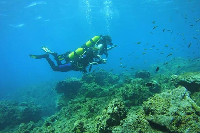Discover Scuba Diving - Who Will Love This Experience?