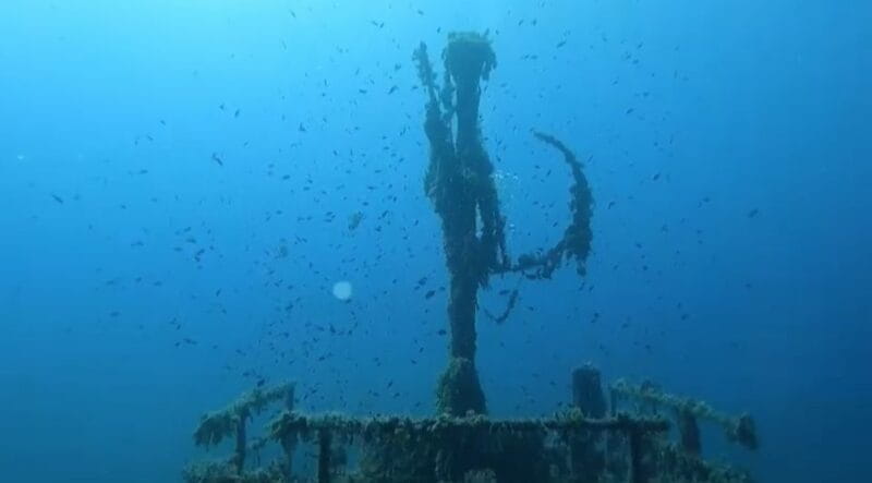 Discover Scuba Diving - Who Will Love This Experience?