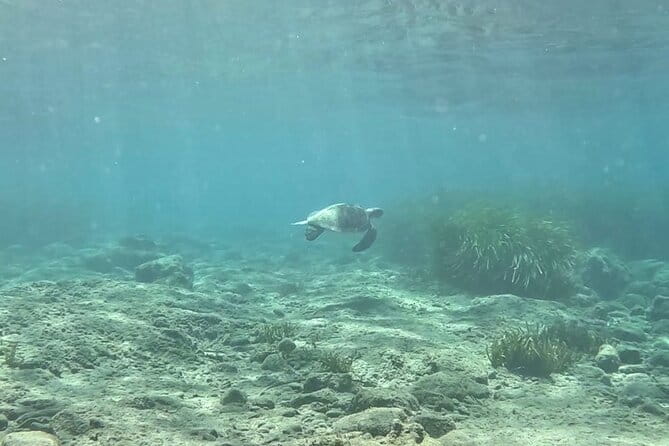 Discover Scuba Diving Amathounta's Ancient Port - The Meeting Point & Logistics