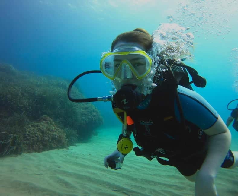 Discover Scuba Diving Boat Tour - Why This Experience Stands Out: A Well-Balanced Intro to Underwater Exploration