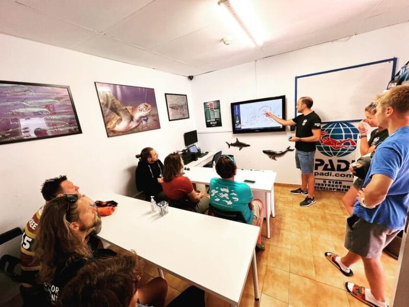 Discover Scuba Diving Experience - Discover Scuba Diving Experience in Tenerife: An Honest Review