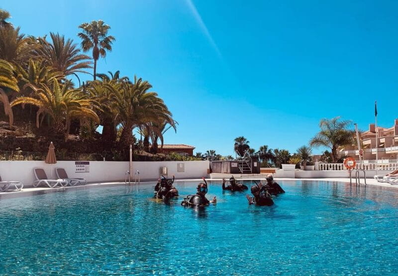 Discover Scuba Diving Experience - The Unique Charm of Paradise Divers