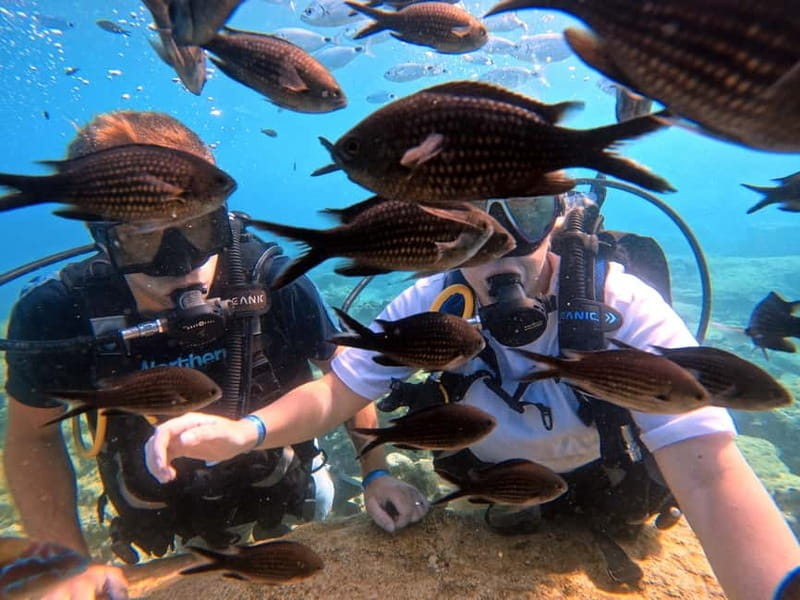 Discover Scuba Diving Experience - Discover Scuba Diving Experience in Cyprus: A Hands-On Look