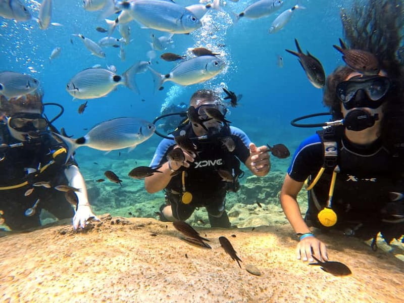Discover Scuba Diving Experience - Key points / Takeaways