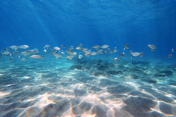 Discover Scuba Diving in Costa Calma - Introducing the Discover Scuba Diving Experience in Costa Calma