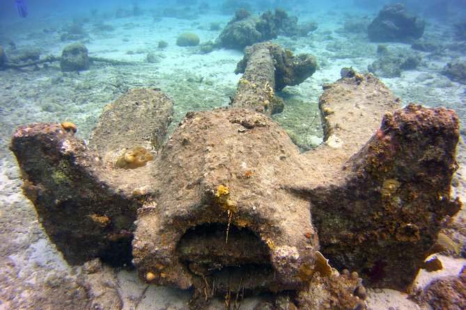 Discover Scuba Diving in Curacao - Observing Marine Life