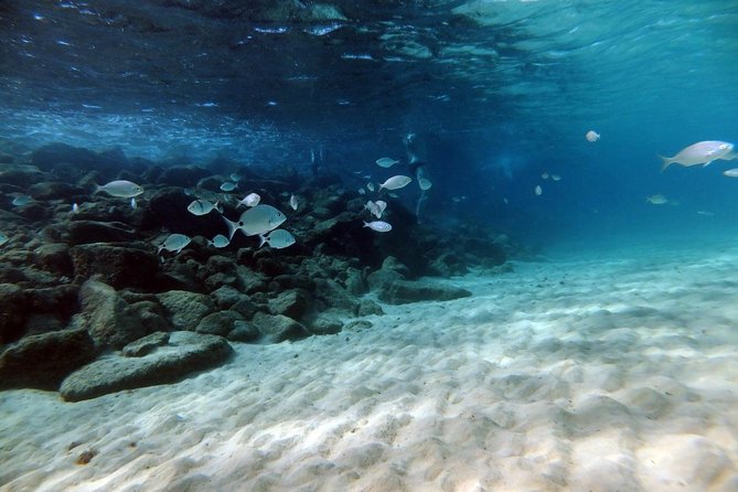 Discover Scuba Diving in Lanzarote (Costa Teguise) - Booking Information