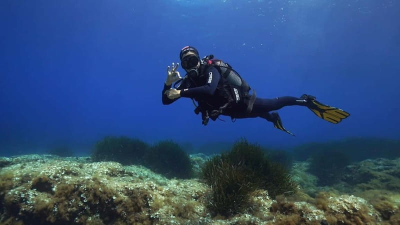 Discover Scuba Diving in Menorca: your first underwater adventure - What Makes This Experience Special?