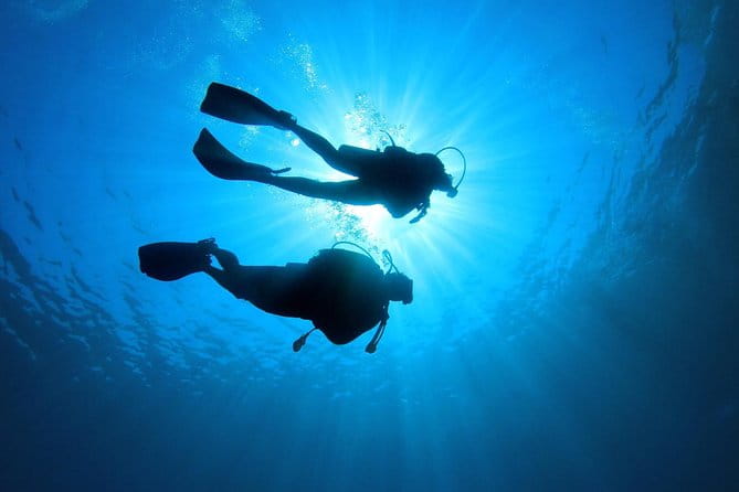 Discover Scuba Diving in Tenerife - What You’ll Actually Do