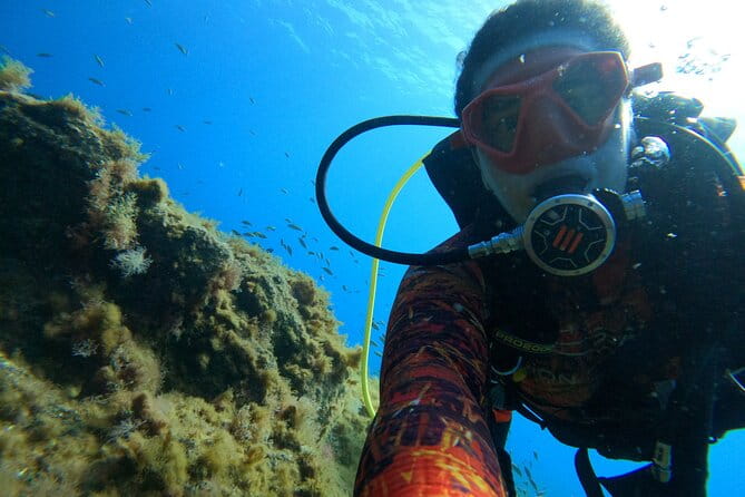 Discover Scuba Diving in Tenerife - Who Should Consider This?