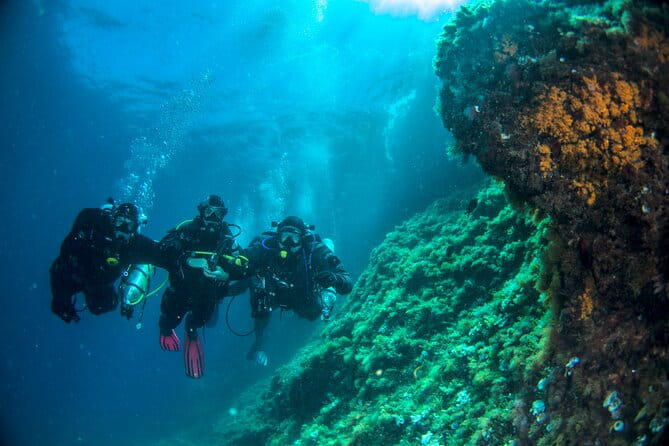 Discover Scuba Diving PADI - Trial dive in Sorrento - Who Should Consider This?
