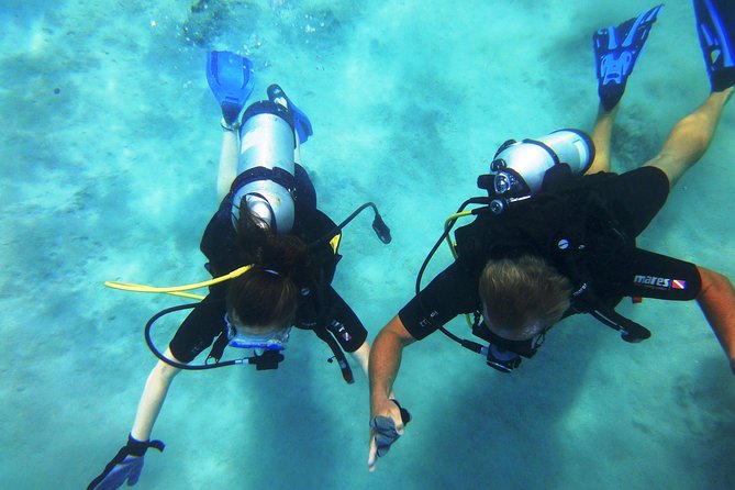 Discover Scuba Diving With No Certification in St Thomas - Overview of the Scuba Diving Experience