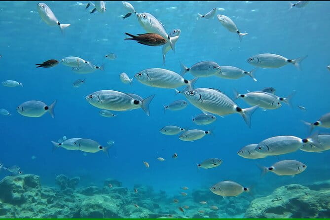 Discover SCUBA Diving with Pissouri Bay Divers - Key Points