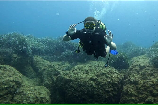 Discover SCUBA Diving with Pissouri Bay Divers - Why This Experience Stands Out