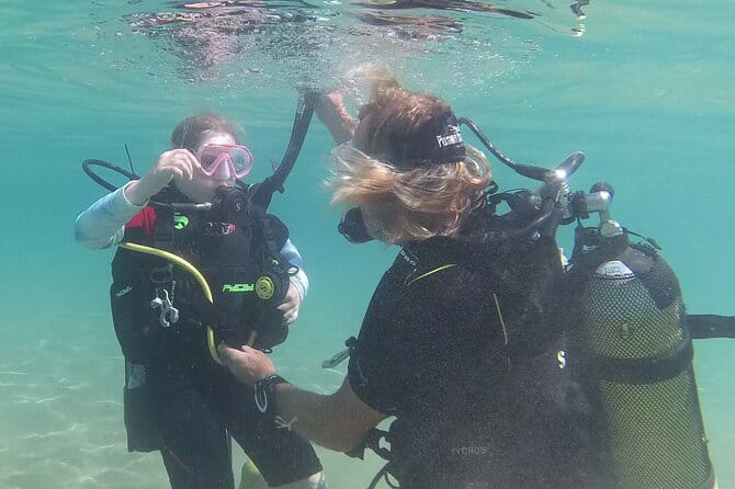 Discover SCUBA Diving with Pissouri Bay Divers - Who Should Book This?