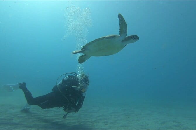 Discover SCUBA Diving with Pissouri Bay Divers - FAQ