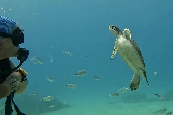 Discover SCUBA Diving with Pissouri Bay Divers - Final Thoughts