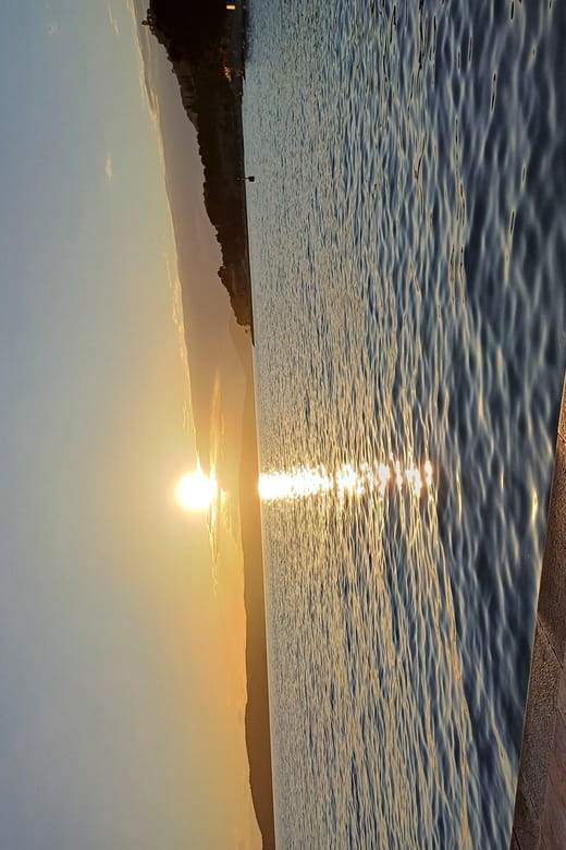 Discover Split Guided Walking Tour - Price, Logistics, and Overall Value