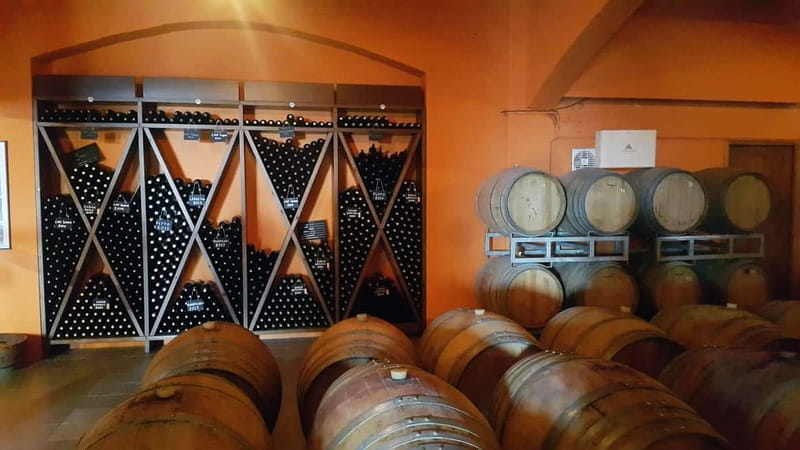 Discover Taste of Crete: Guided Winery Tour and Tastings - Who Will Love This Tour?