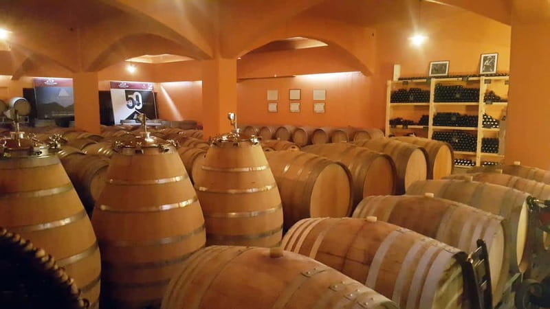 Discover Taste of Crete: Guided Winery Tour and Tastings - Logistics and Value: What To Expect