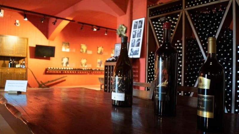 Discover Taste of Crete: Guided Winery Tour and Tastings - Who Should Book This Tour?