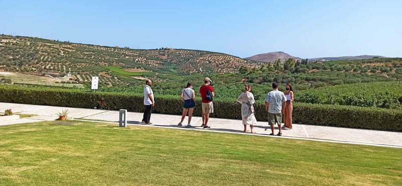 Discover Taste of Crete: Guided Winery Tour and Tastings - Final Thoughts