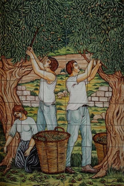 Discover Tenute Baglio Passofondo - Key points / Takeaways