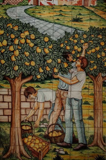 Discover Tenute Baglio Passofondo - Entering the Heart of Sicily’s Countryside