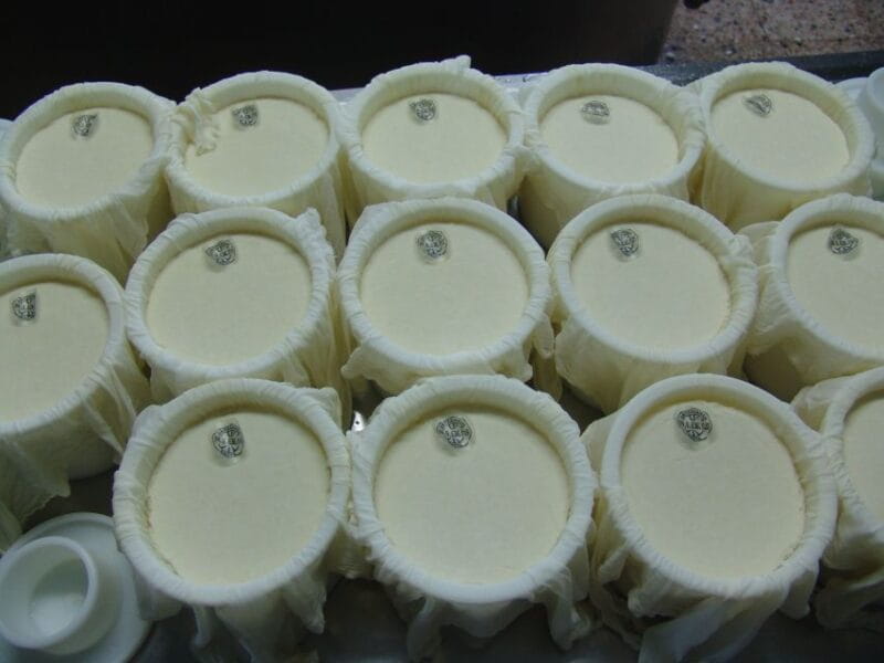 Discover the Art of Idiazabal Cheese in the Basque Country - Exploring the Basque Cheese Experience: A Detailed Look