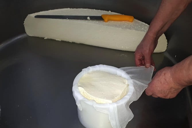 Discover the Art of Idiazabal Cheese in the Basque Country - Key points / Takeaways