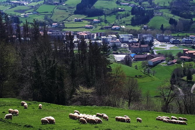 Discover the Art of Idiazabal Cheese in the Basque Country - Frequently Asked Questions