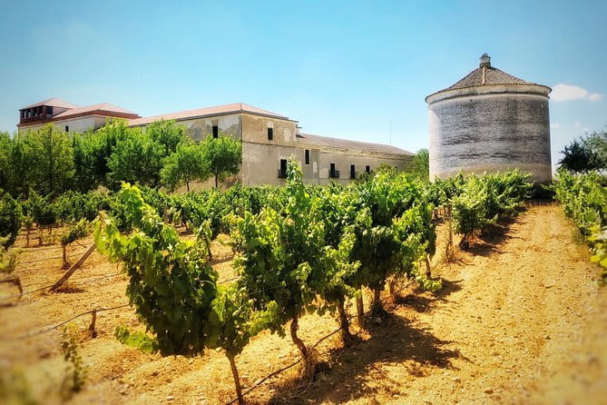 Discover the authentic wine culture of Rueda - The Experience in Detail