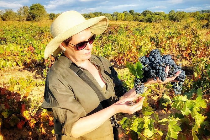 Discover the authentic wine culture of Rueda - Who Is This Tour For?
